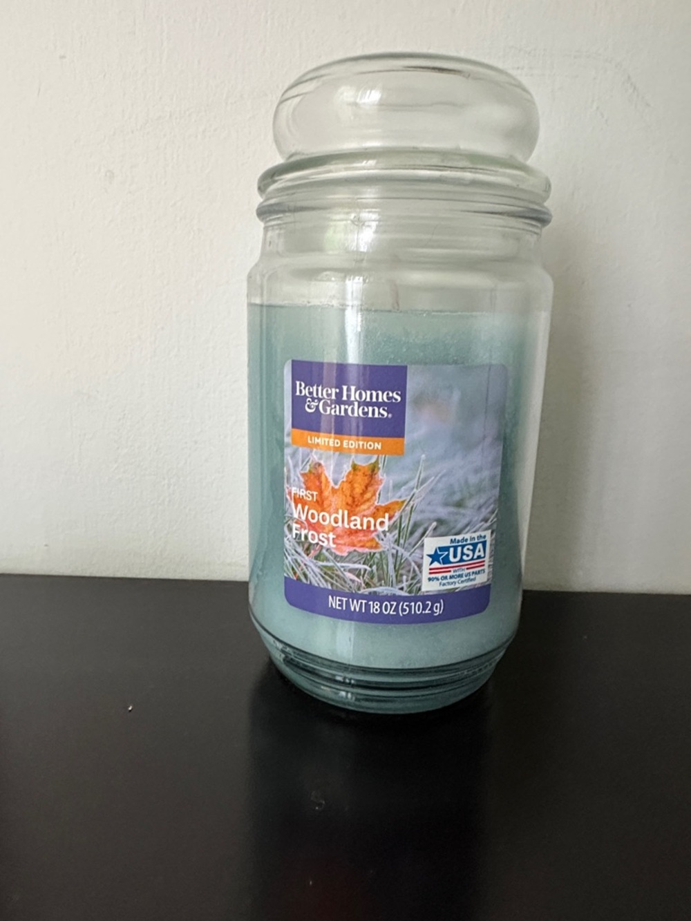 Better Homes And Gardens Woodland Frost Large Jar Candle - Pale Blue